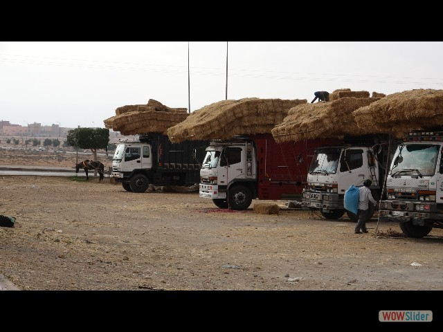 920_Guelmim, le souk
