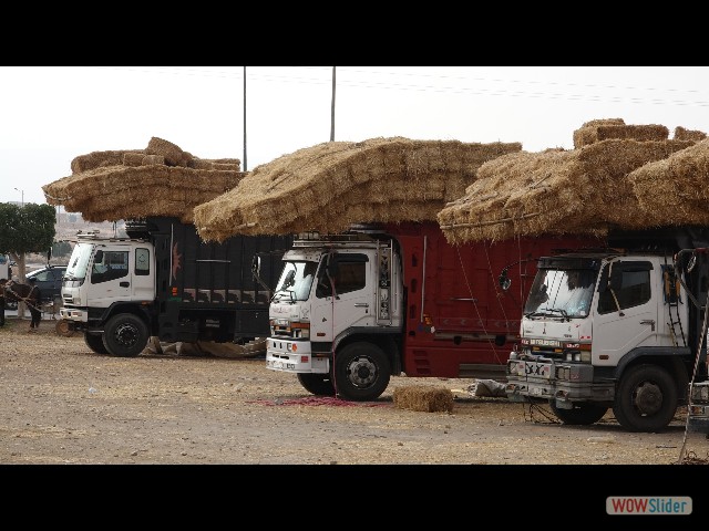 921_Guelmim, le souk
