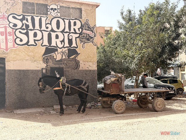 9_Sidi Bibi