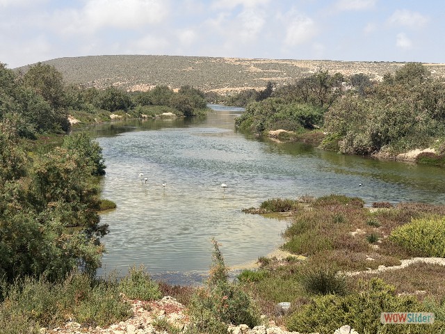 14_Région Massa-Sidi Wassay