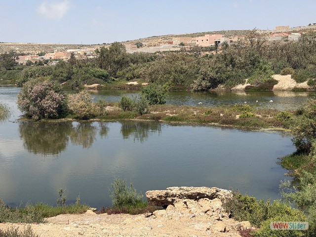 15_Région Massa-Sidi Wassay