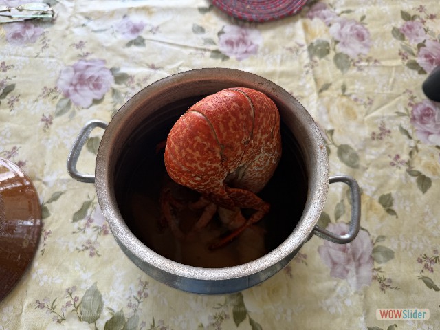 7_Un bel homard