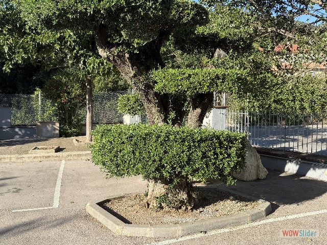9_La Jonquera