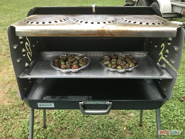 921_Miam miam escargots 921_Miam miam escargots